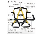 2枚目の画像
