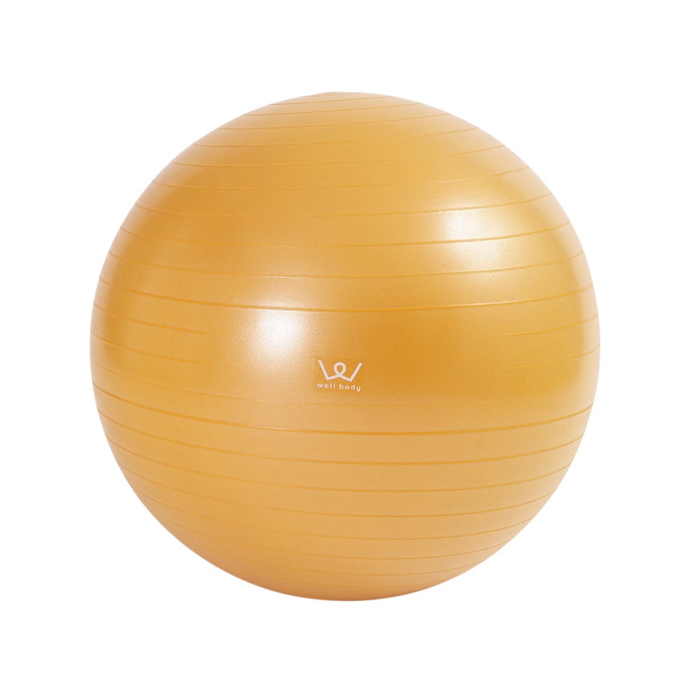 アースボール65こ りかなび】アースボール（AR地球儀） ジャーニー｜必要な商品